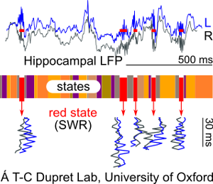 Alvaro Tejero-Cantero takes up LMU Research Fellowship Alvaro Tejero-Cantero takes up LMU Research Fellowship
